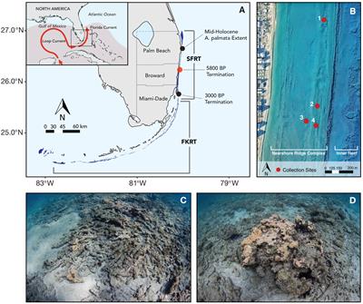 Climate-modulated range expansion of reef-building coral communities off southeast Florida during the late Holocene